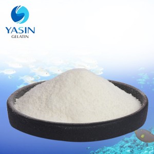 Fish Collagen