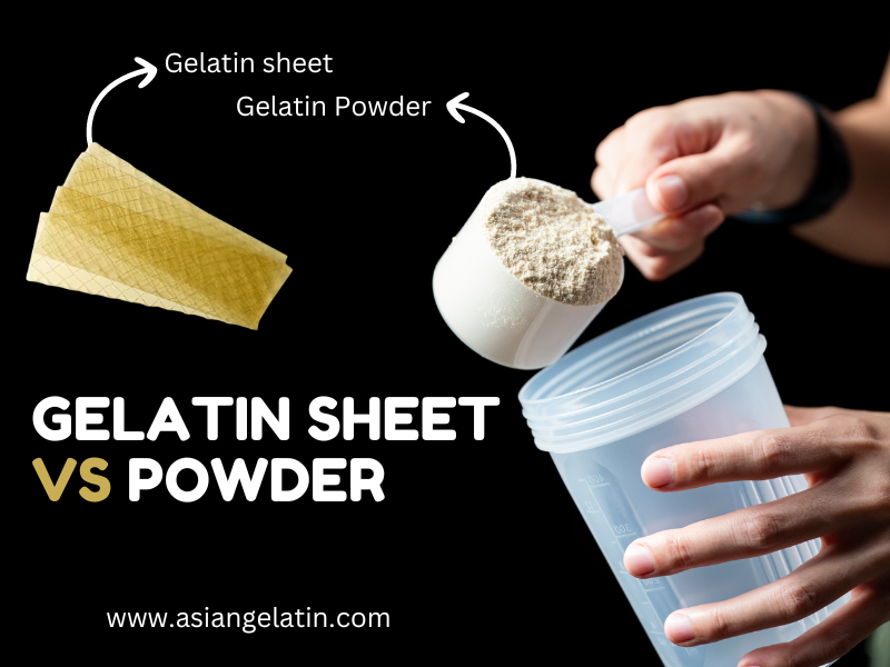 Gelatin Sheet vs Powder: Key Differences and The Right Type