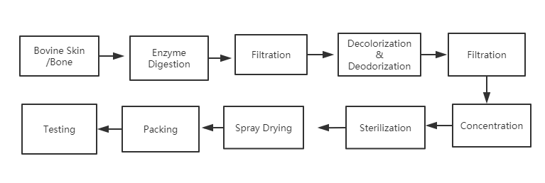 Flow Chart