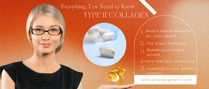 Type II Collagen – Everything You Need to Know