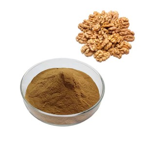 Walnut peptide