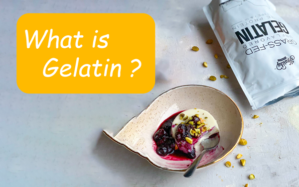 What is Gelatin