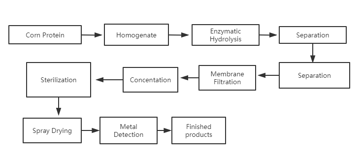 flow chart