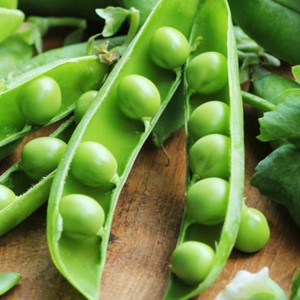 Leading Manufacturer for Cartilage Collagen -
 Pea peptide – Yasin