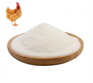 Type II Undenatured Chicken Collagen